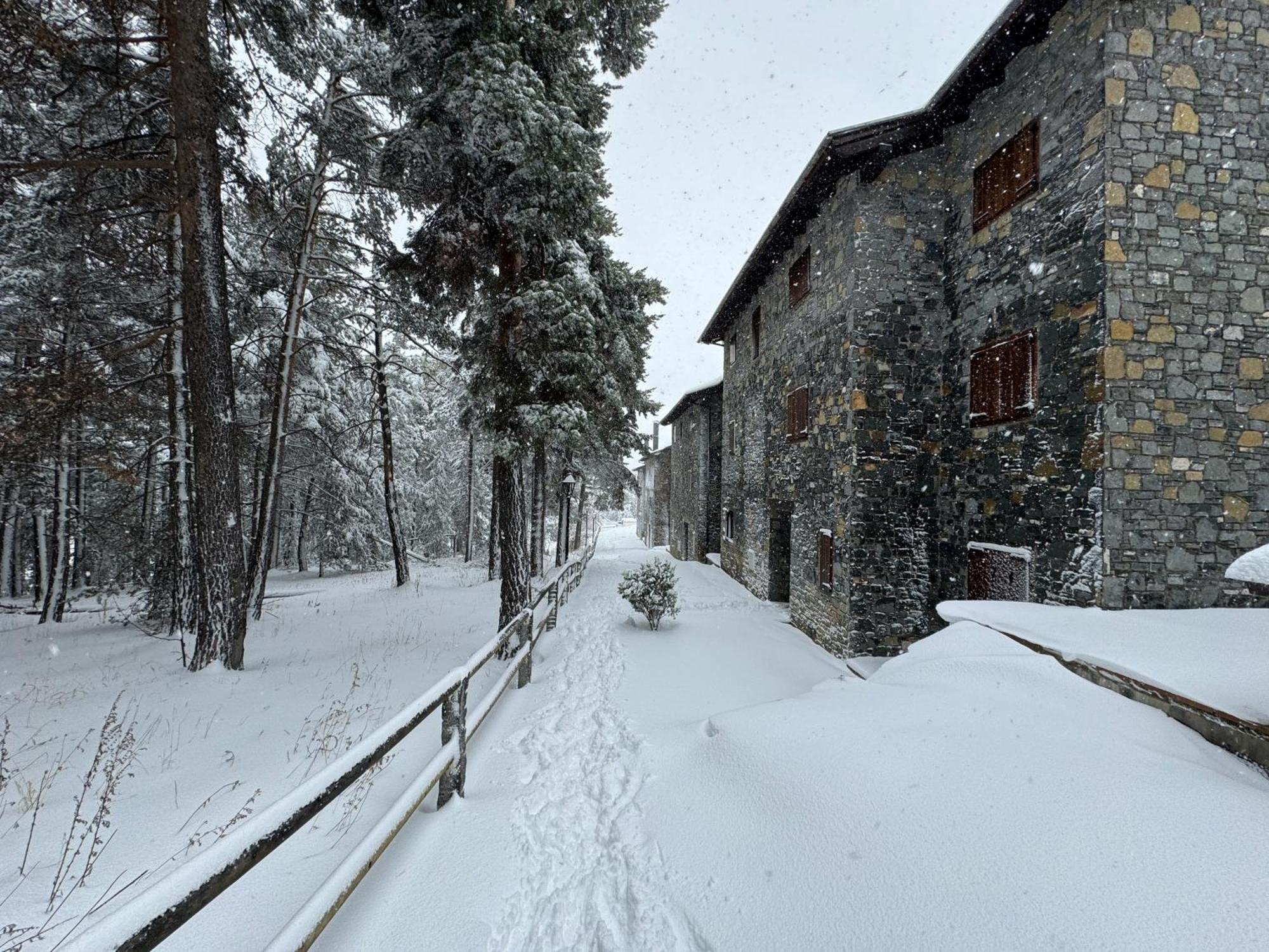 Residencia Pista Llarga Lägenhet La Molina  Exteriör bild